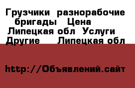 Грузчики, разнорабочие, бригады › Цена ­ 250 - Липецкая обл. Услуги » Другие   . Липецкая обл.